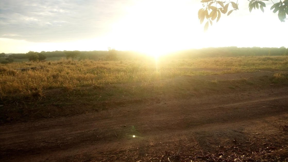  Rising Sun Give Blessing You