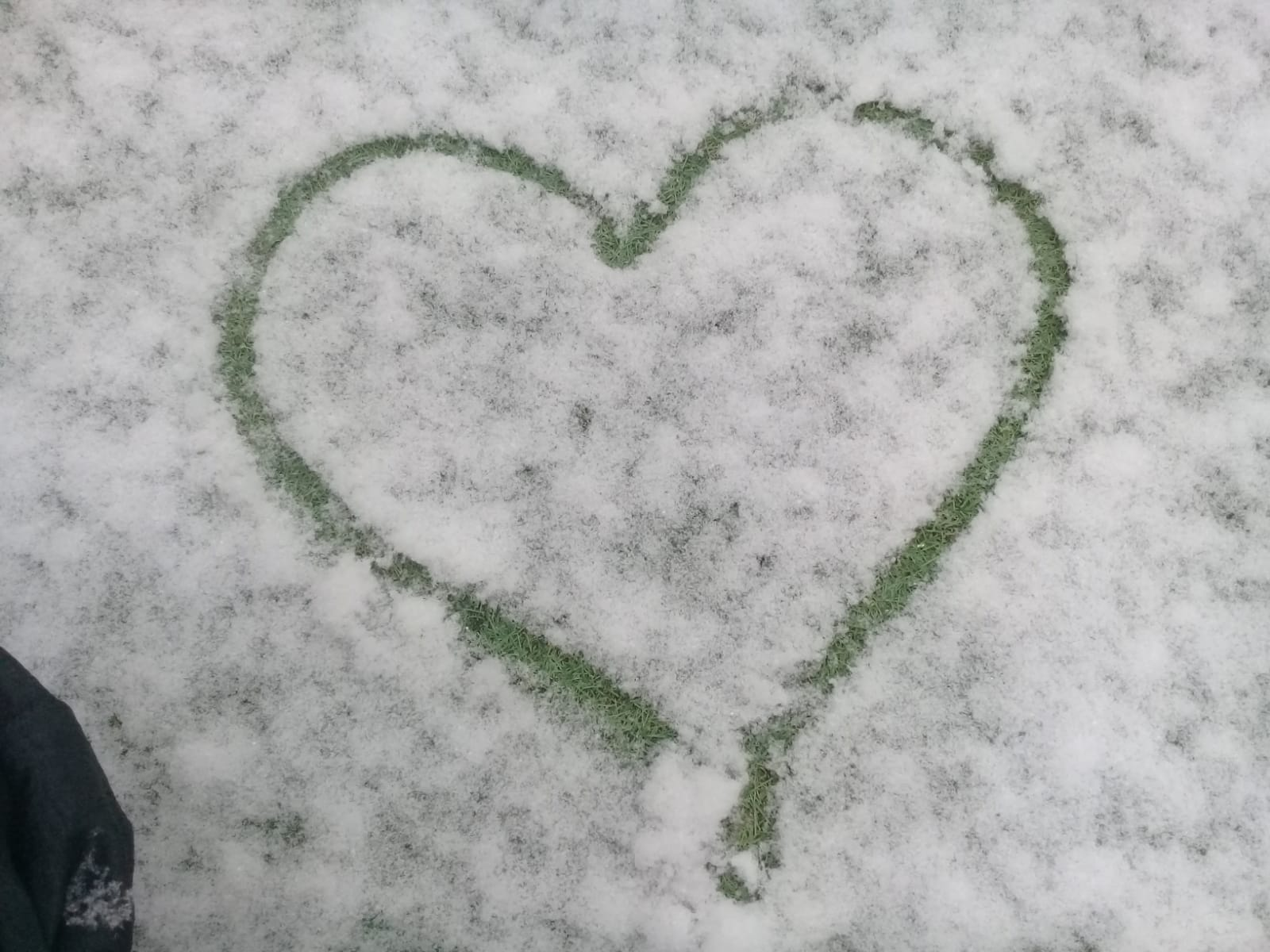 nature snow heart photography love Image
