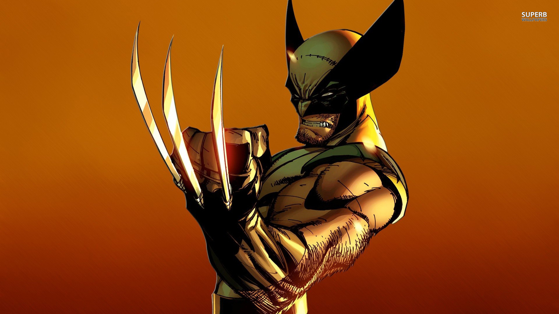 Wolverine Picture - Image Abyss