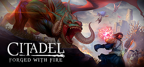 Citadel: Forged with Fire Picture