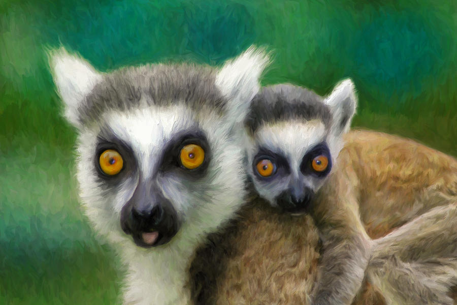 Bright Eyed Lemurs by Dominic Piperata