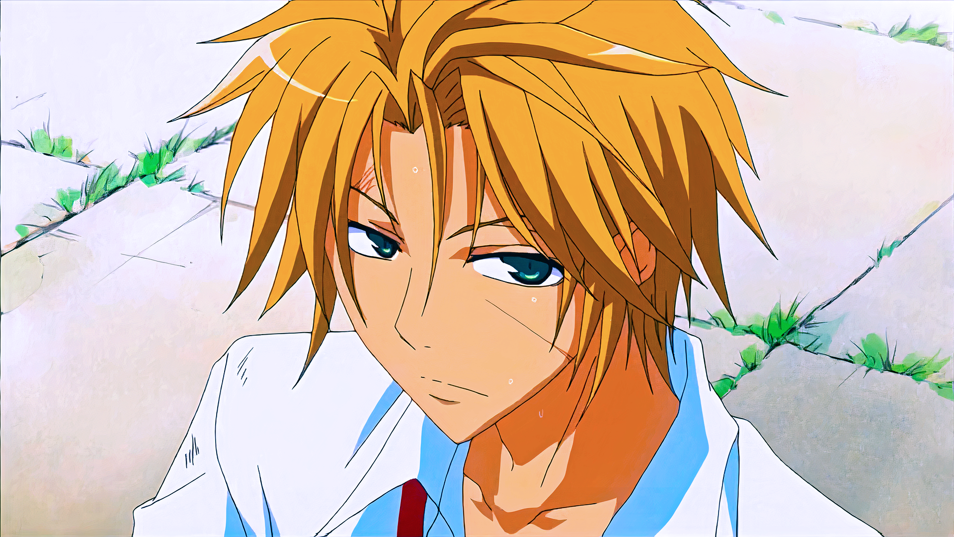 Takumi Usui Anime Maid Sama! Image