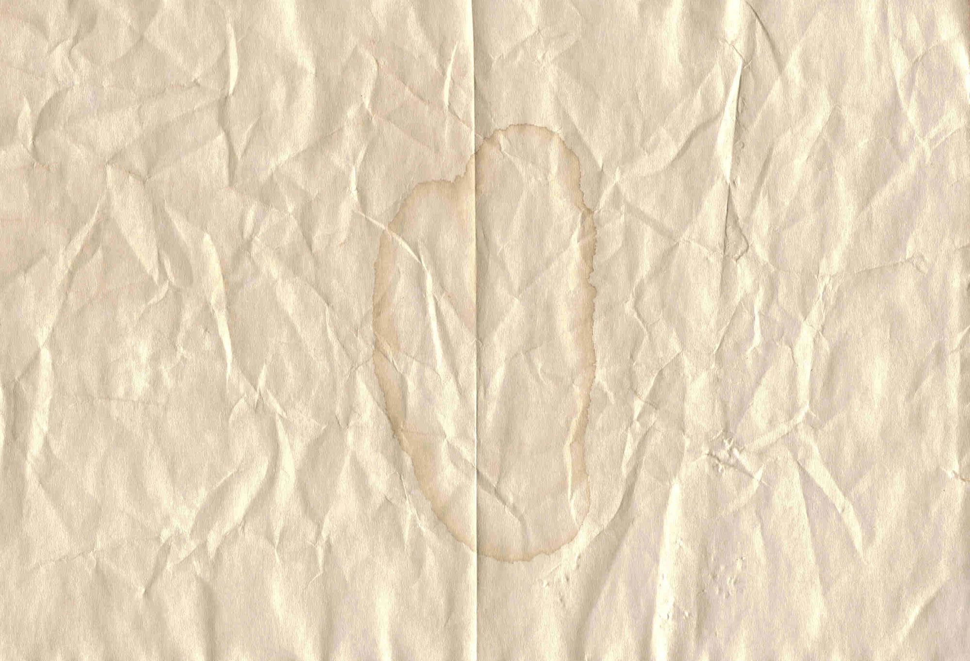 Old Paper, Once Folded in Half by Lasse Korsgaard