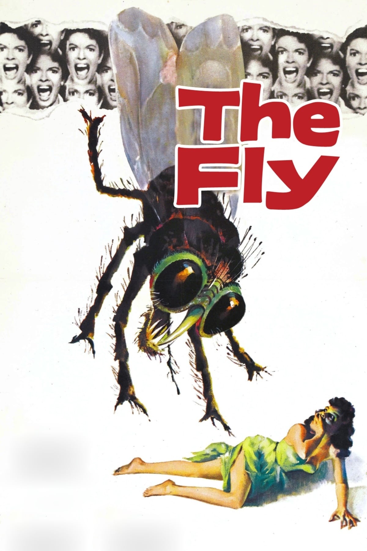 The Fly (1958) Picture Image Abyss