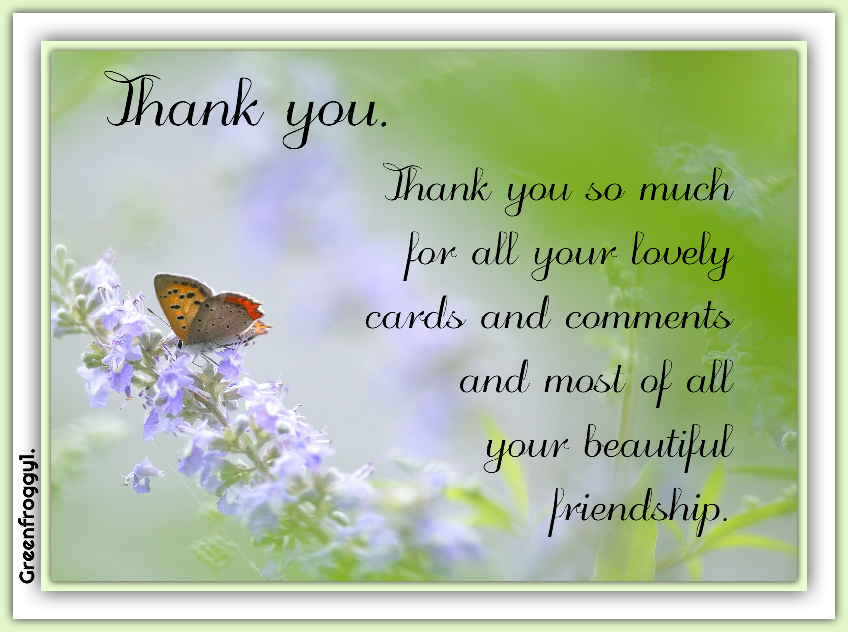 THANK YOU by GREENFROGGY1