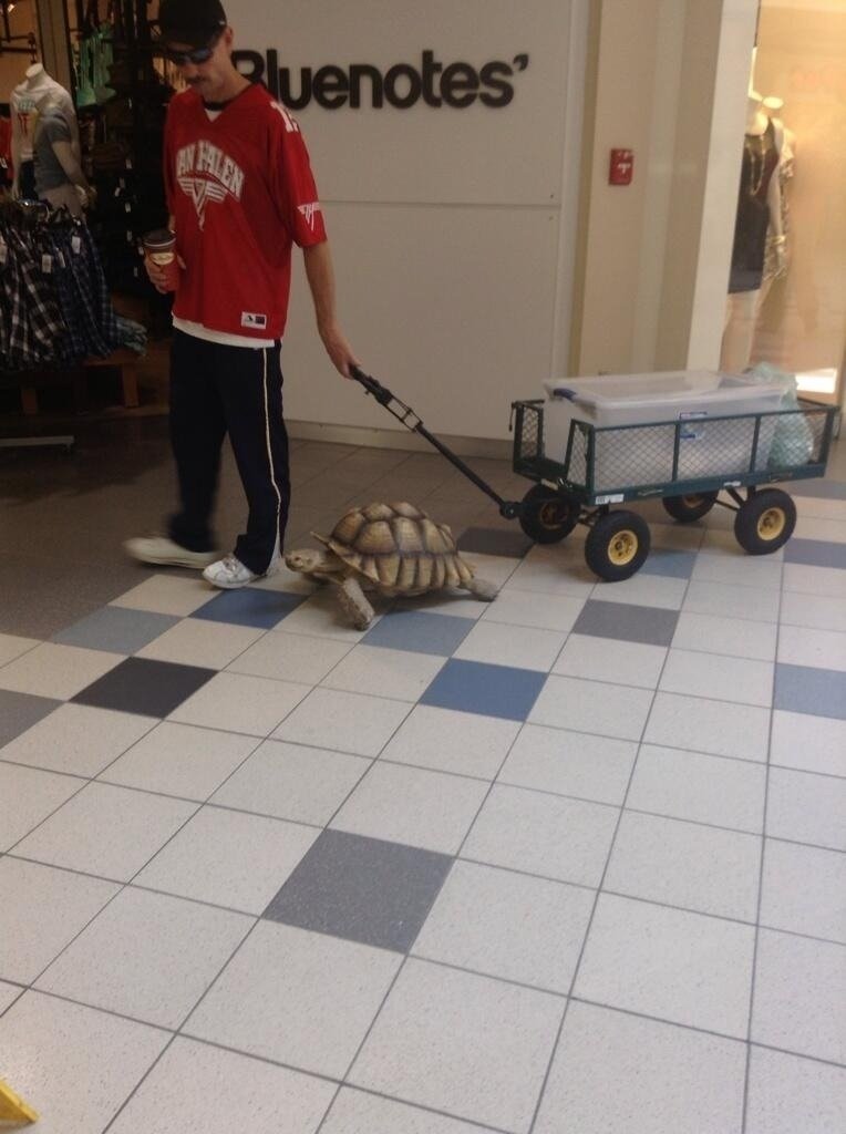  Dude walking his turtle