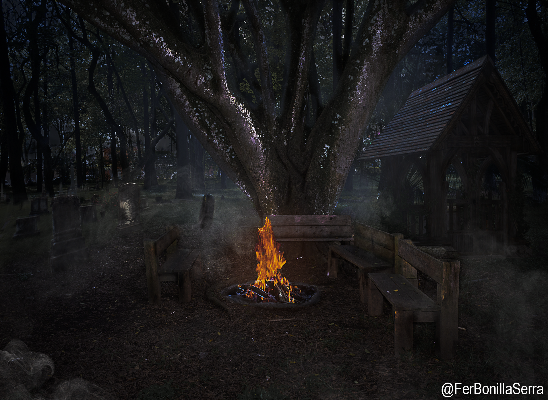 fantasy forest Image