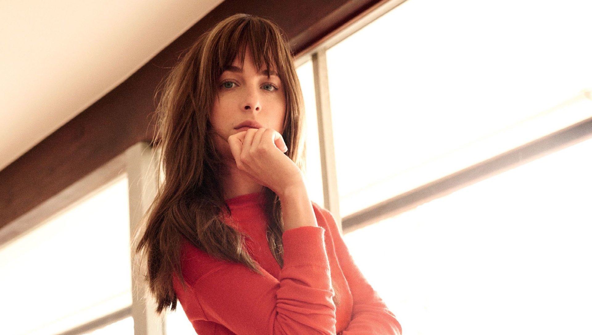 Celebrity Dakota Johnson Image