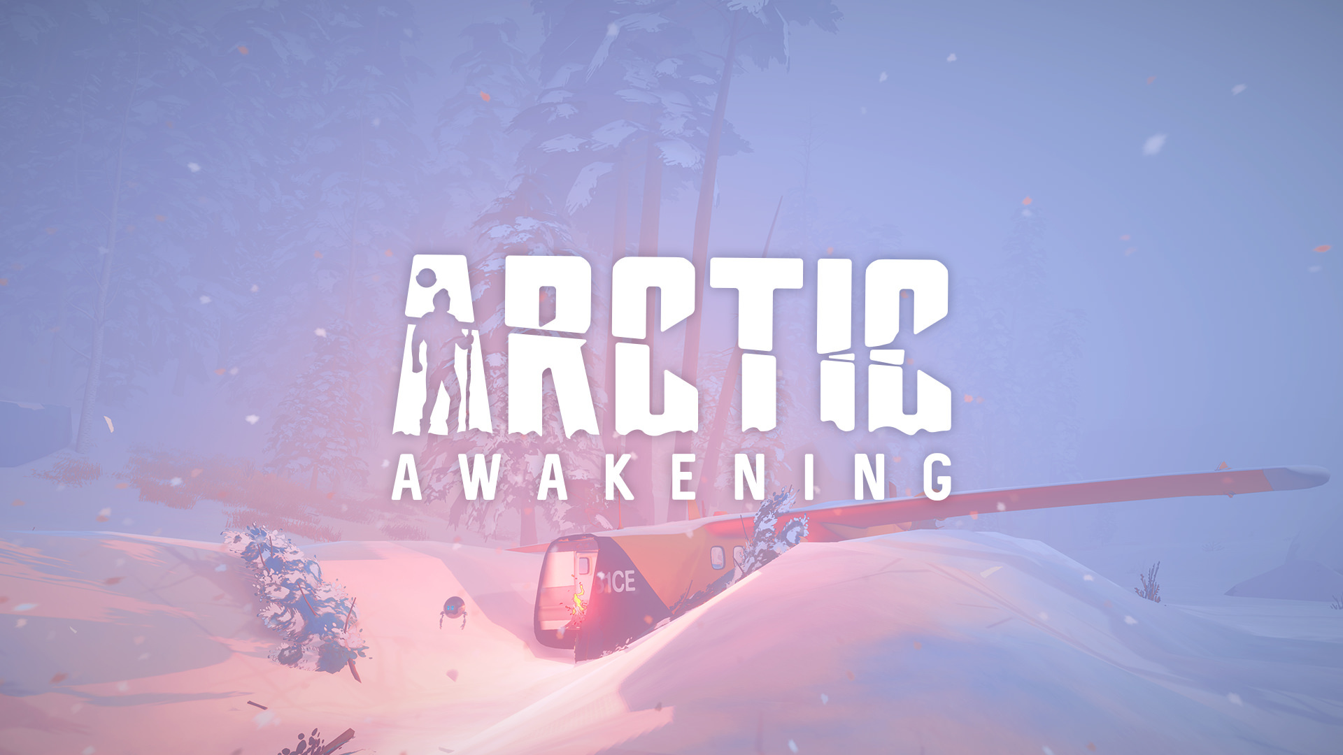 Arctic Awakening Picture