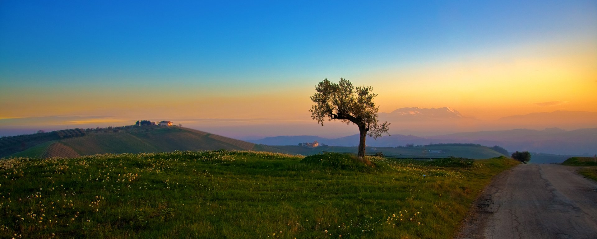 photography landscape Image