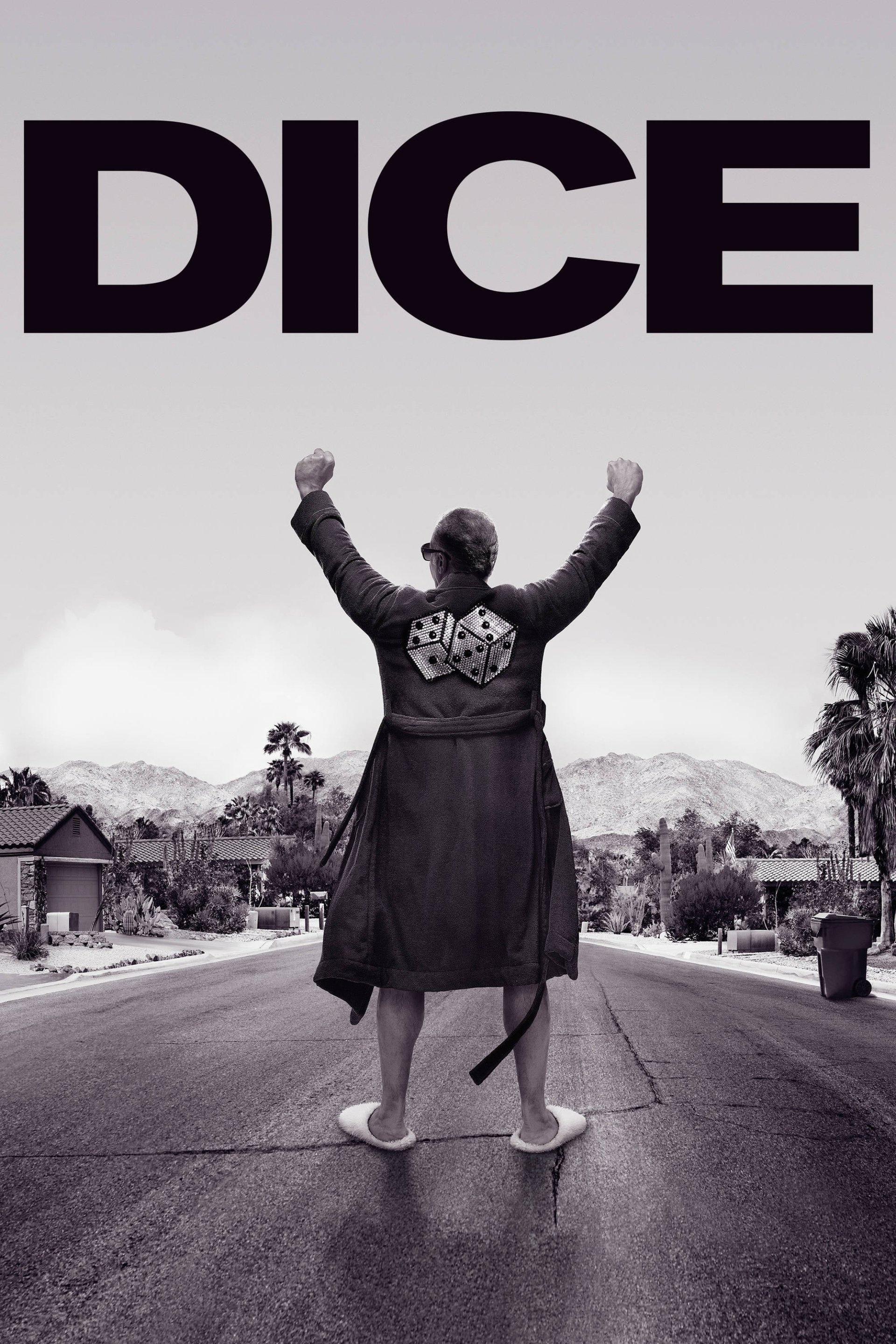 TV Show dice Image