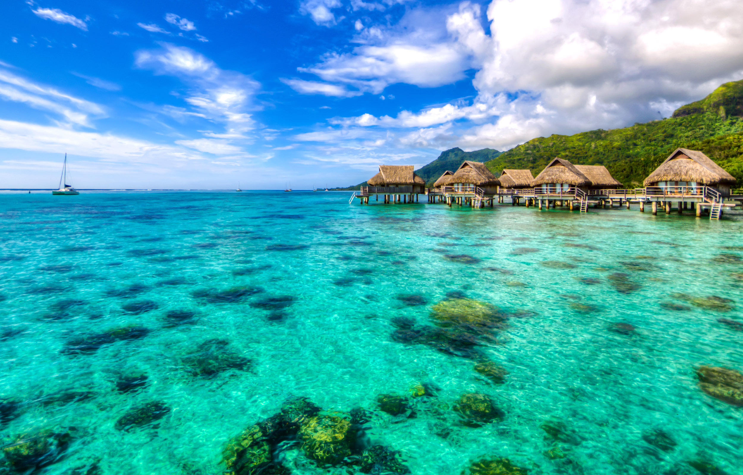 Tropical Destination (Tahiti)