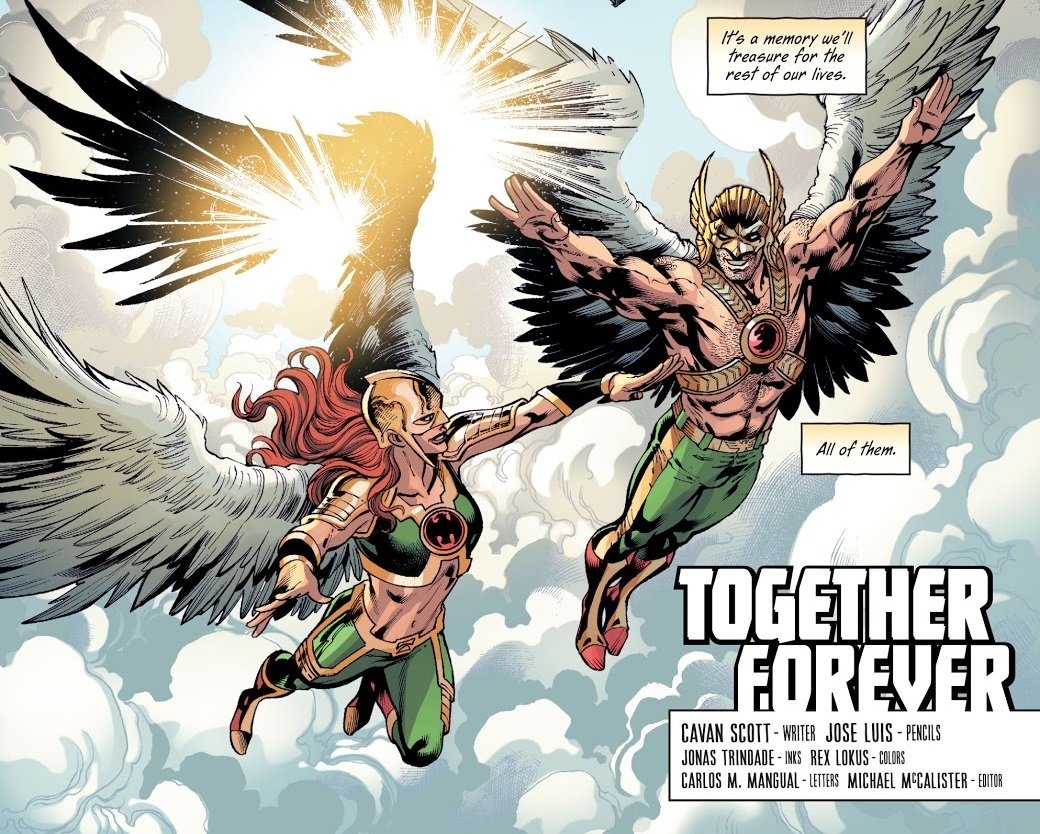 flying DC Comics wings Carter Hall Shayera Hol Hawkwoman (DC Comics) Hawkman (DC Comics) Comic hawkman Image