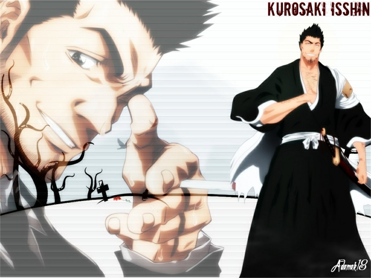 Isshin Kurosaki Anime Bleach Image