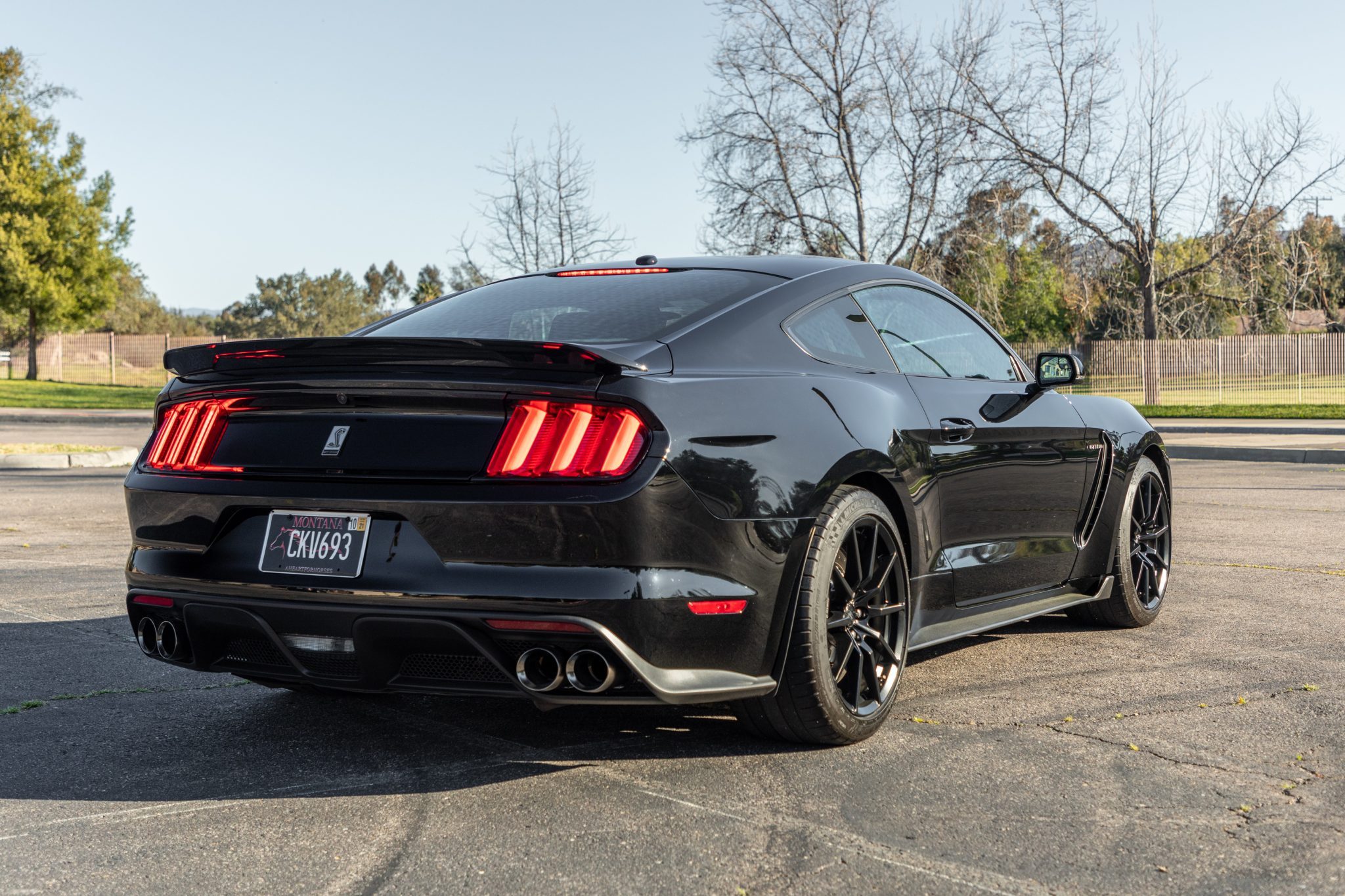 2017 Ford Mustang Shelby GT350 - Image Abyss