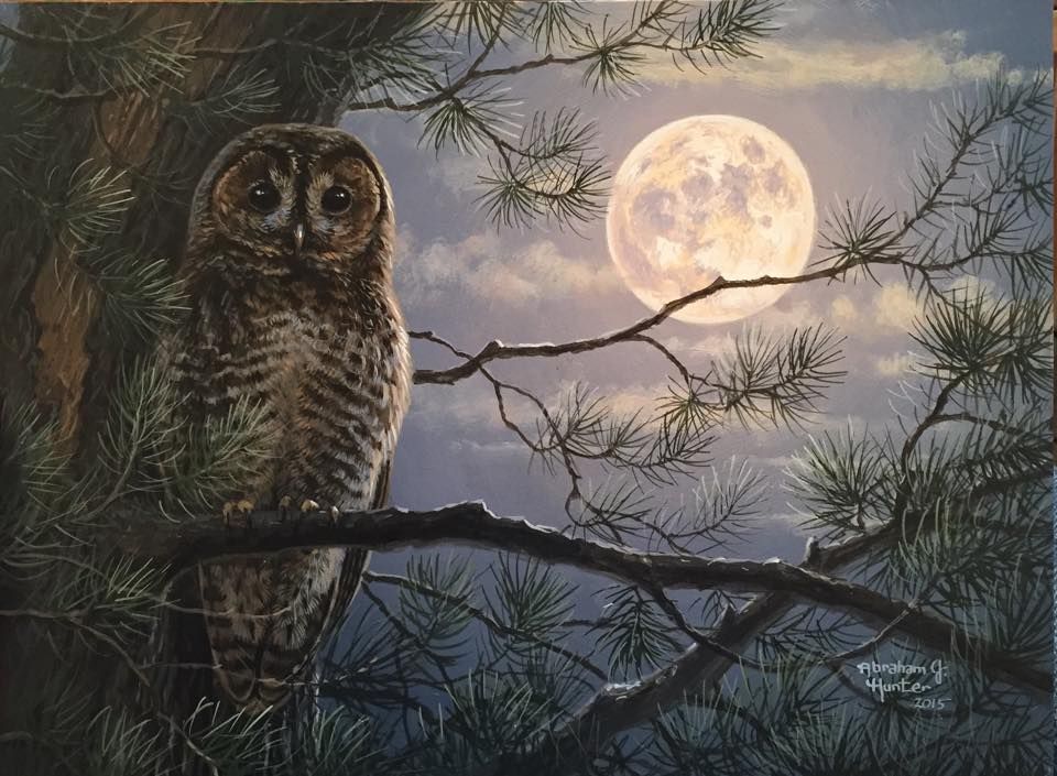 Owl in the Moonlight by Abraham Hunter