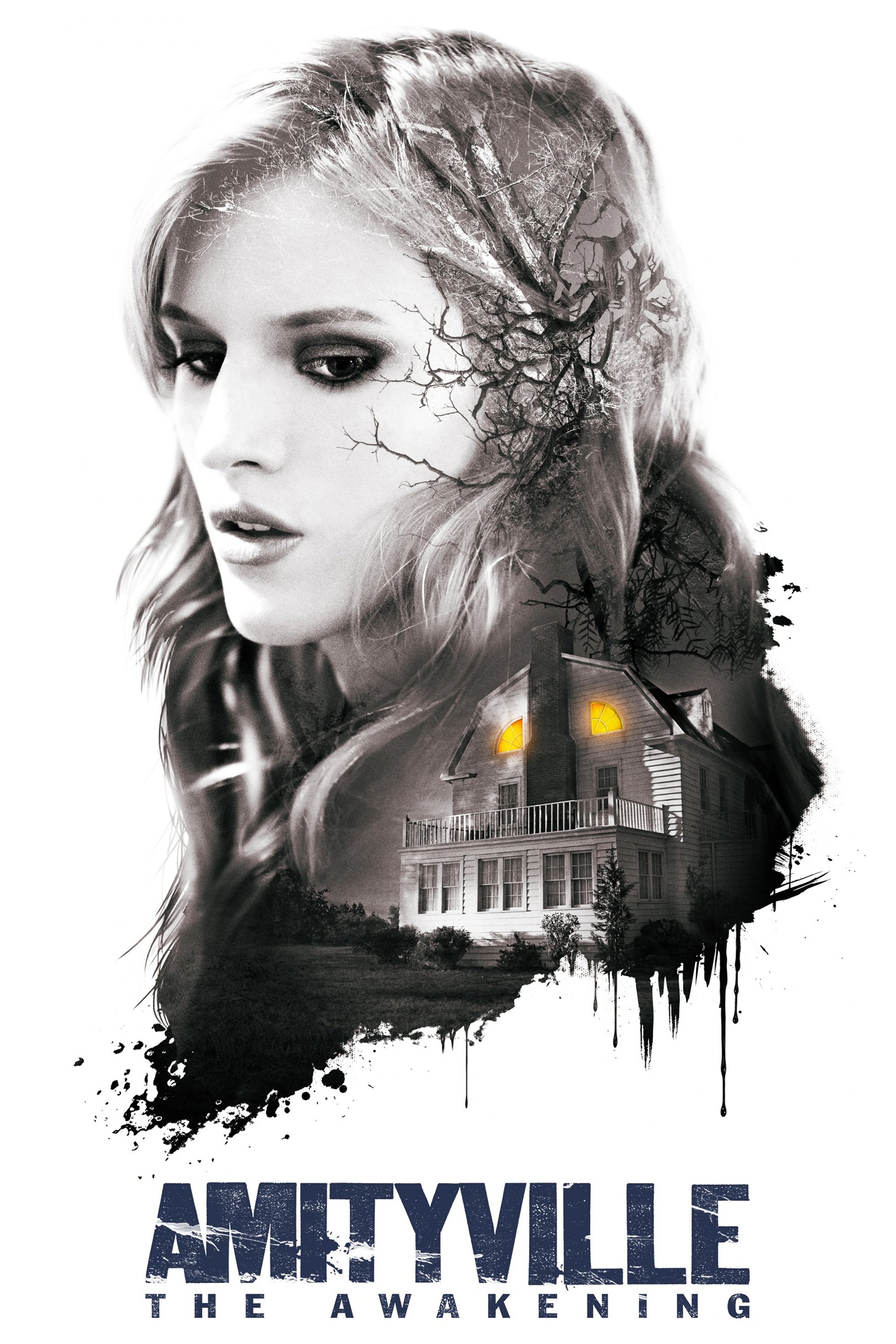 Amityville: The Awakening Picture