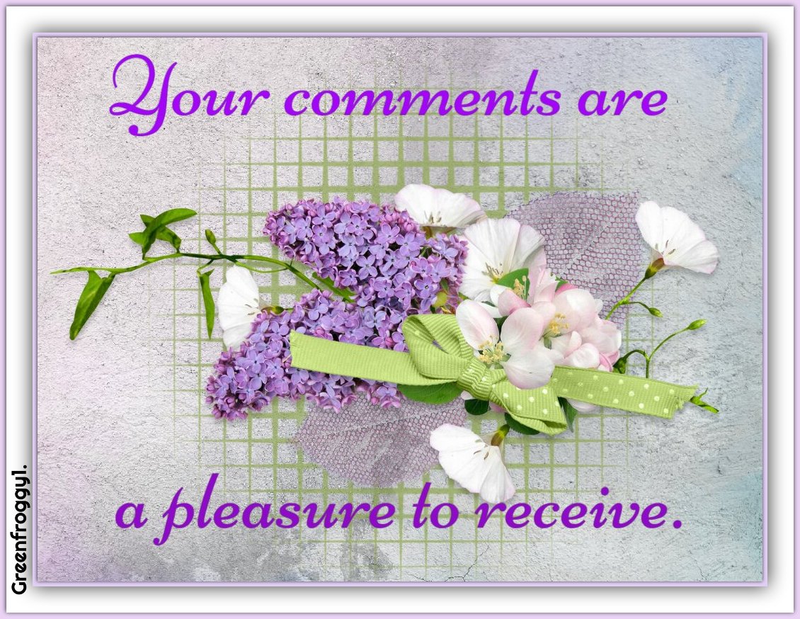 YOUR COMMENTS Image - ID: 437367 - Image Abyss