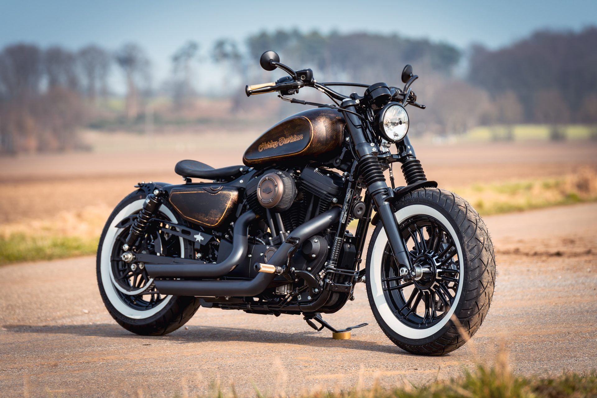 Harley Davidson Forty eight