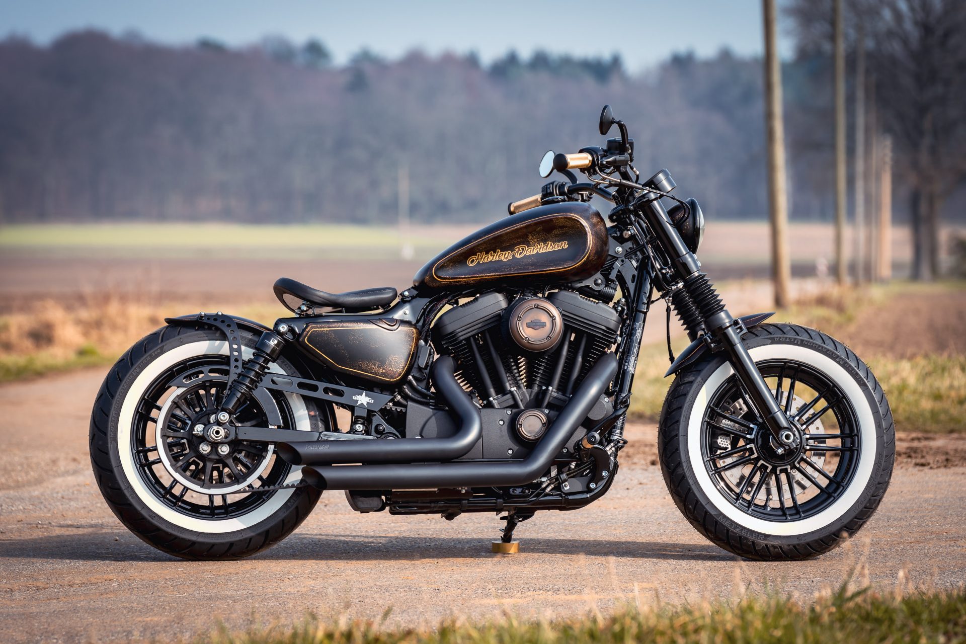 Harley Davidson Forty eight