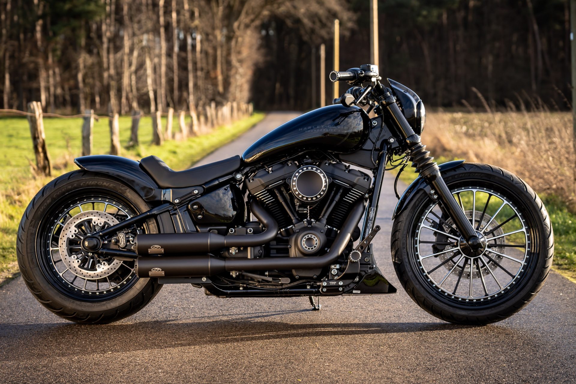 Thunderbike Dark Talon - customized Harley-Davidson Street Bob - Image ...