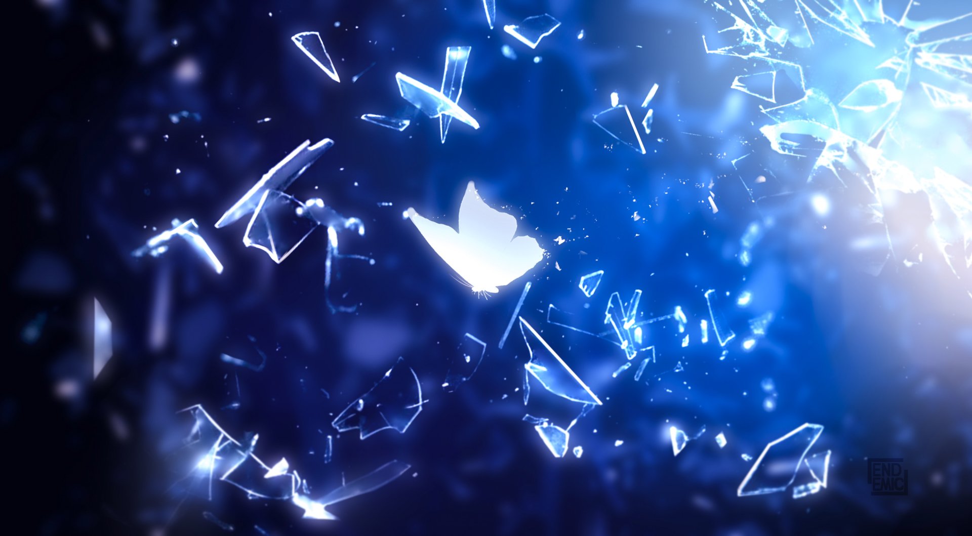 Animal butterfly Image