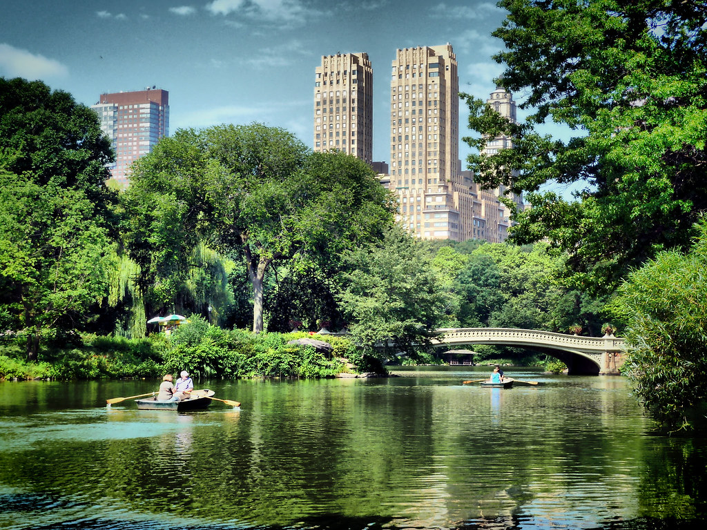 Summer in Central Park New York