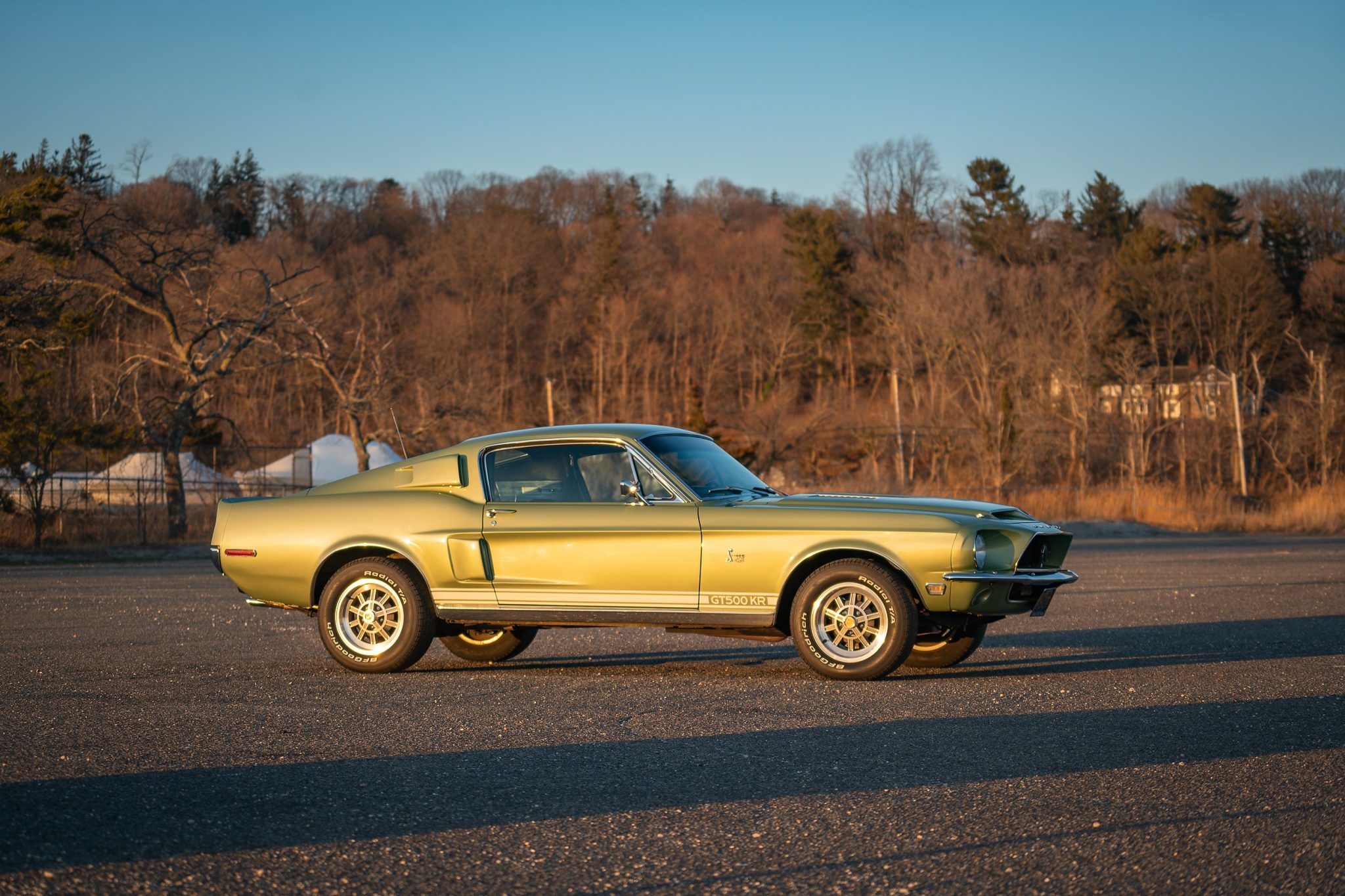 1968 Shelby Mustang GT500KR - Image Abyss