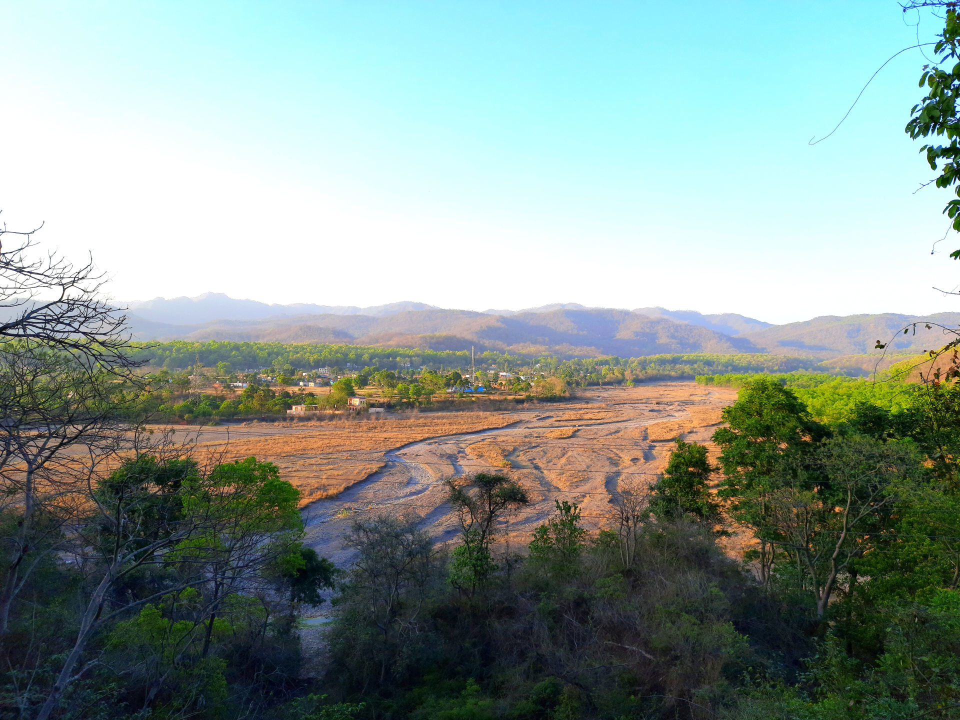 photography nature Image