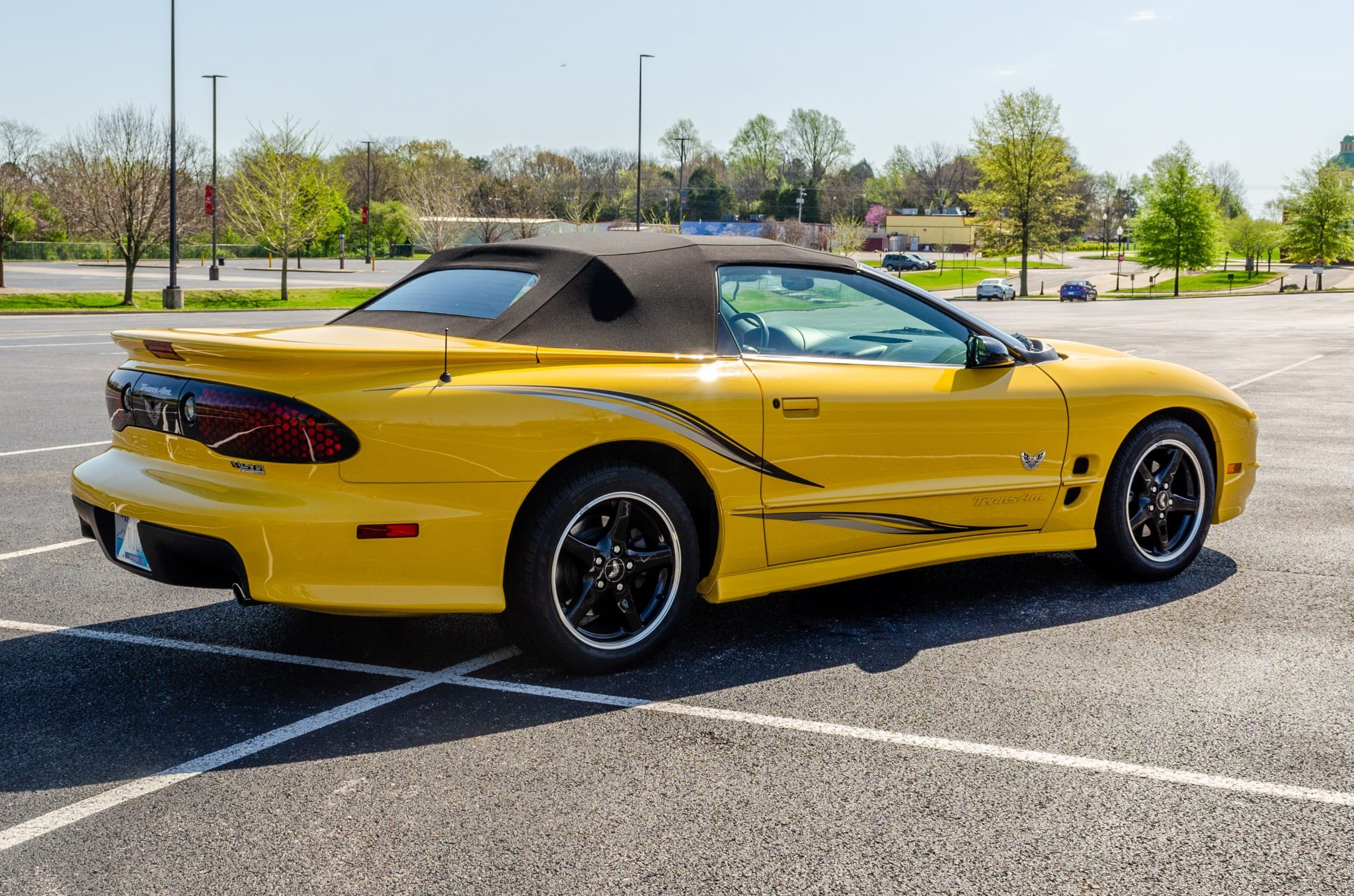 2002 Pontiac Firebird Trans Am Collector Edition - Image Abyss