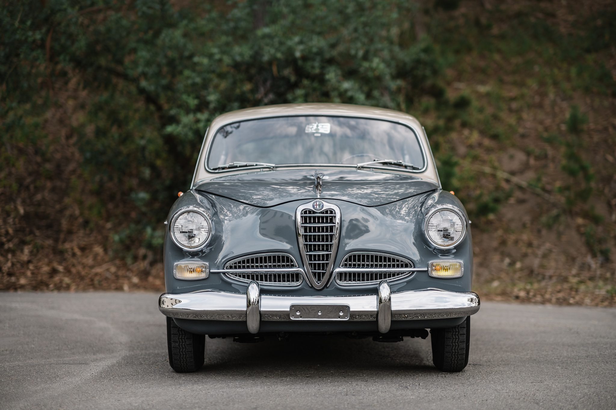 1957 Alfa Romeo 1900 Primavera by Boano