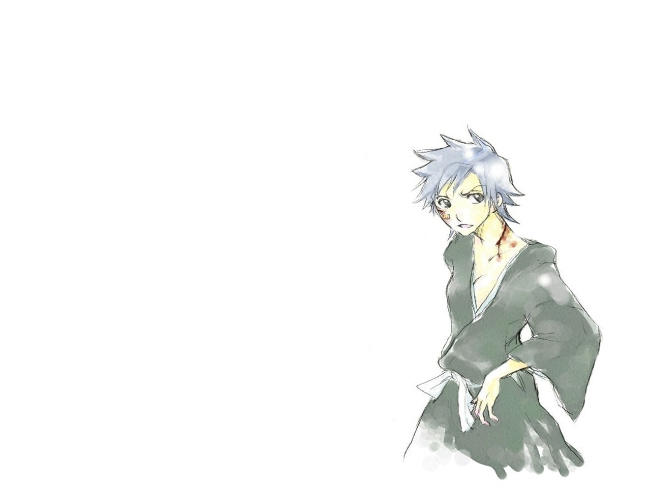 Isane Kotetsu Anime Bleach Image