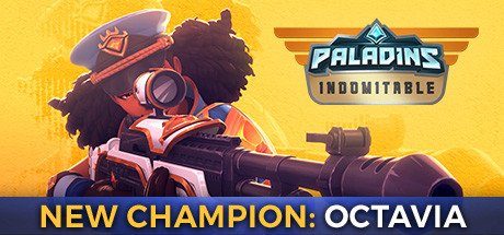 video game Paladins Image