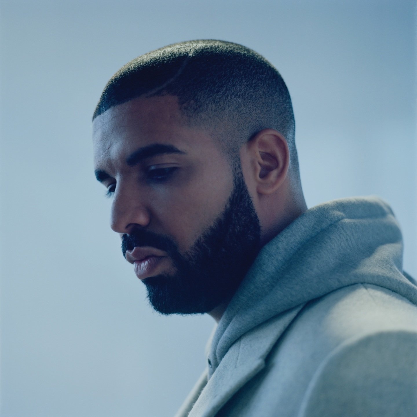 Drake Image - ID: 44385 - Image Abyss