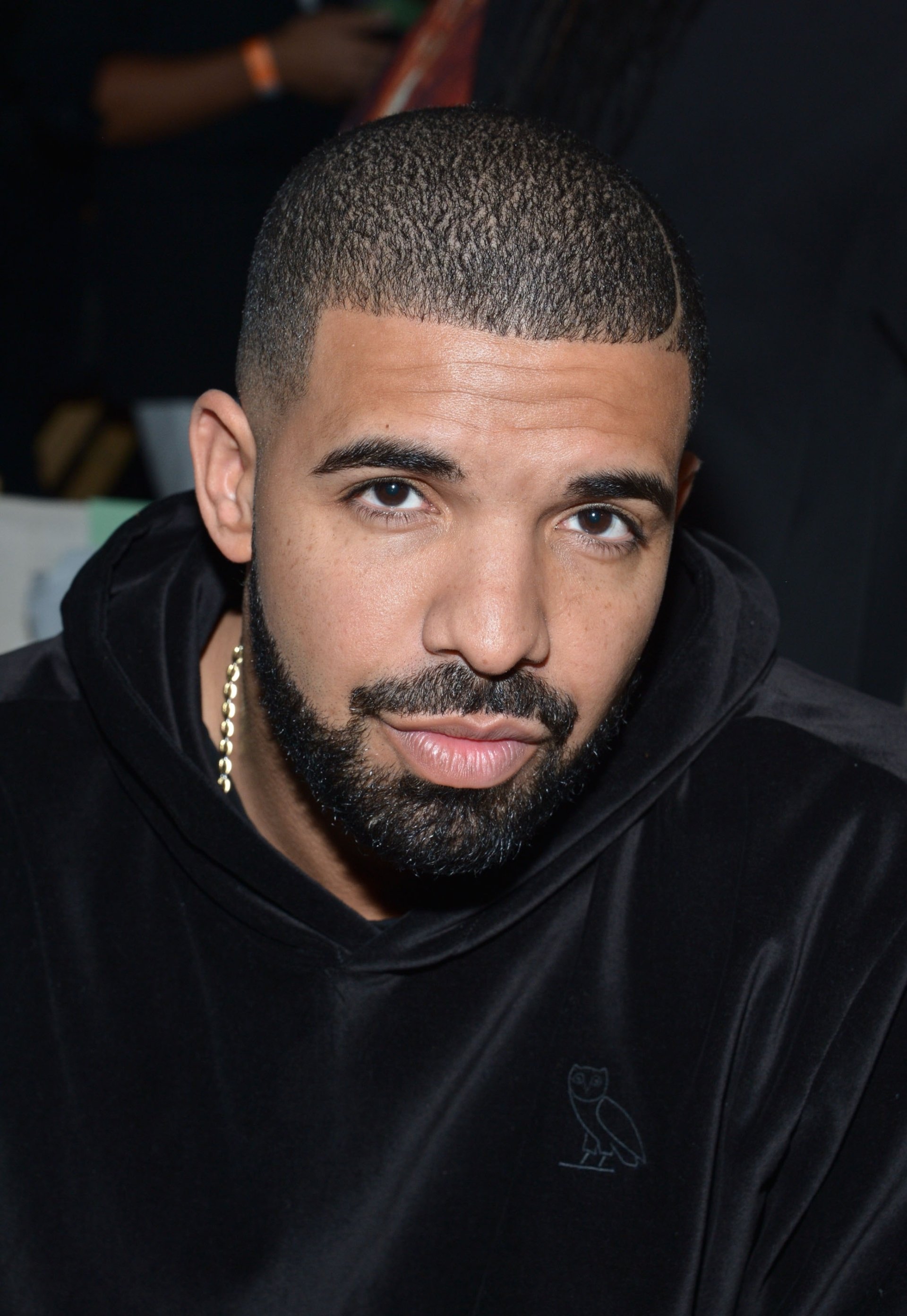 music Drake rapper Celebrity portrait Image