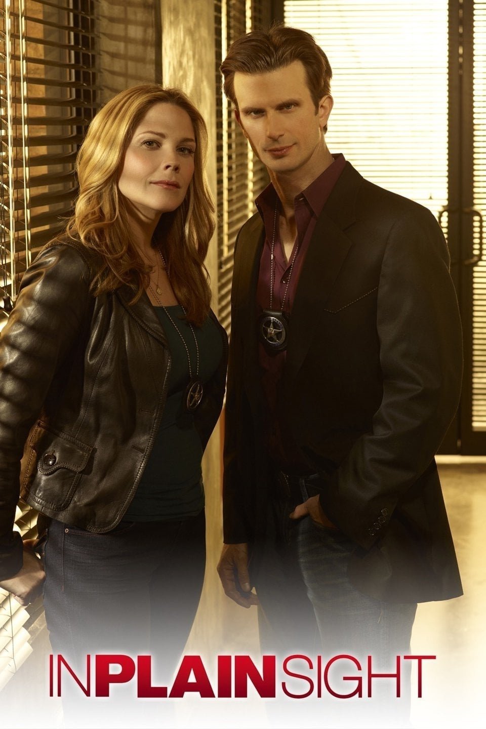 TV Show In Plain Sight Image