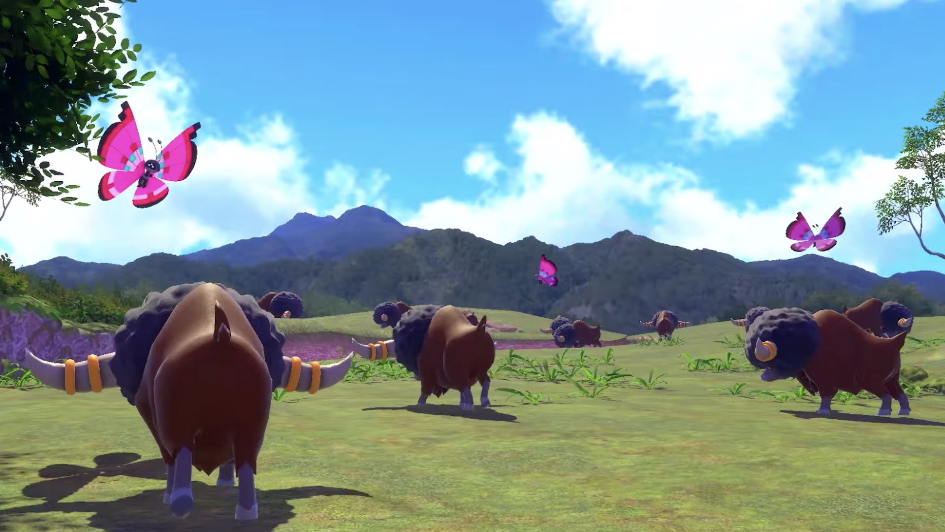 Pokemon video game New Pokémon Snap Image