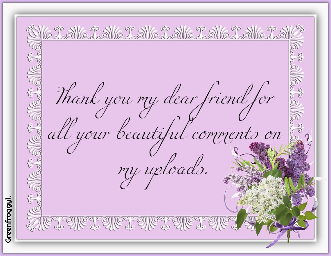 THANK YOU by GREENFROGGY1