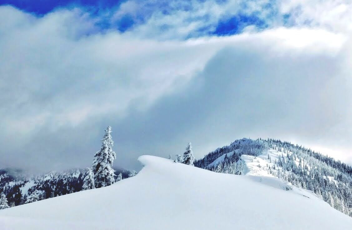 Siskiyou Summit Image - ID: 446960 - Image Abyss