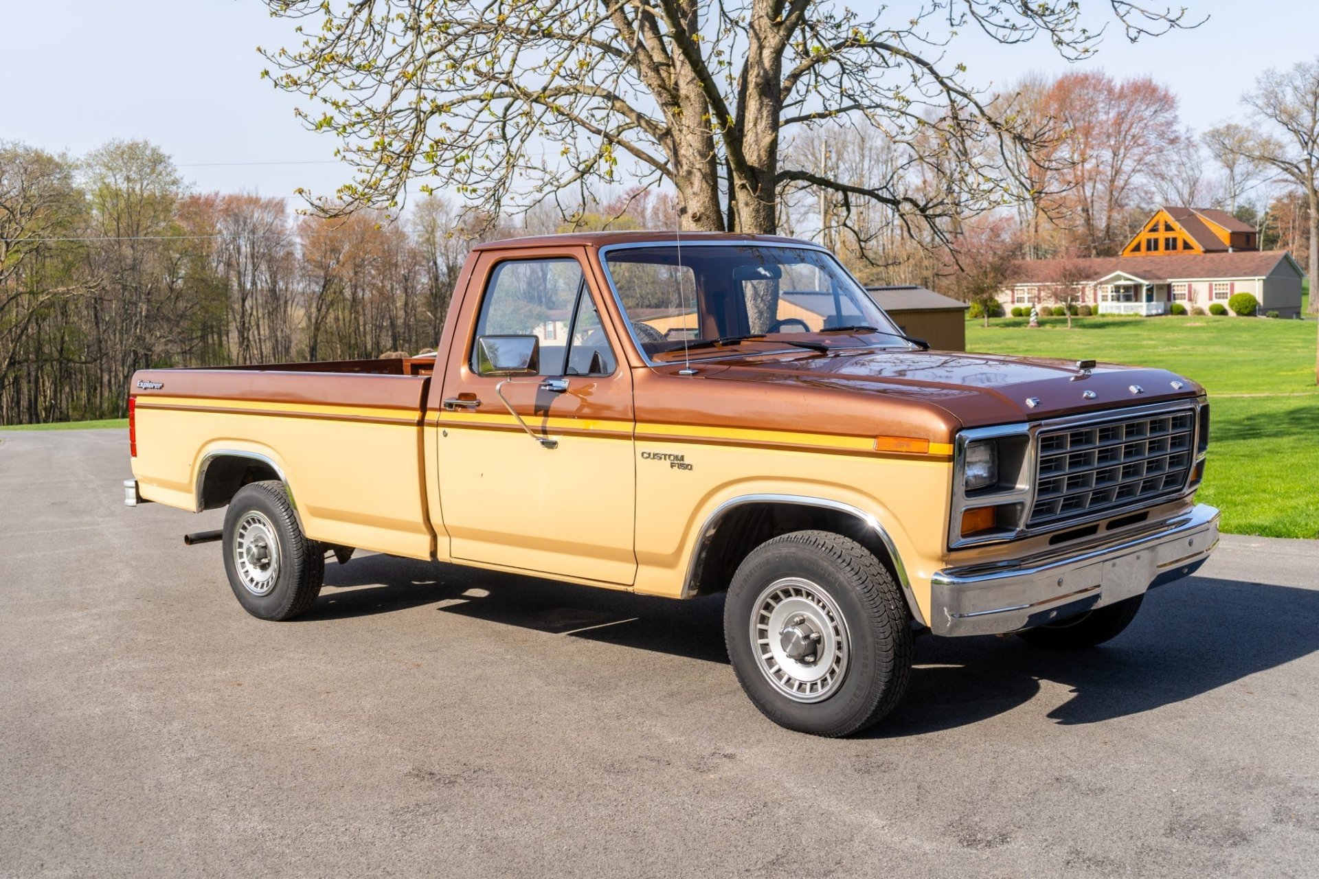 1981 Ford F-150 Custom Explorer - Image Abyss