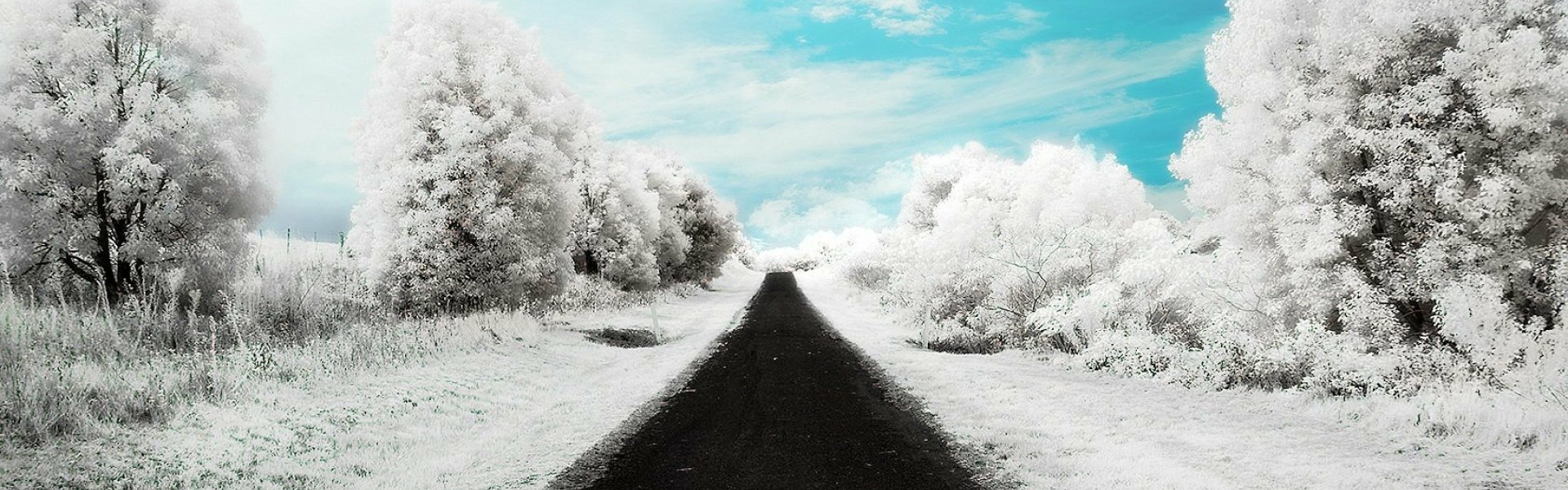  Infrared Photography country lane