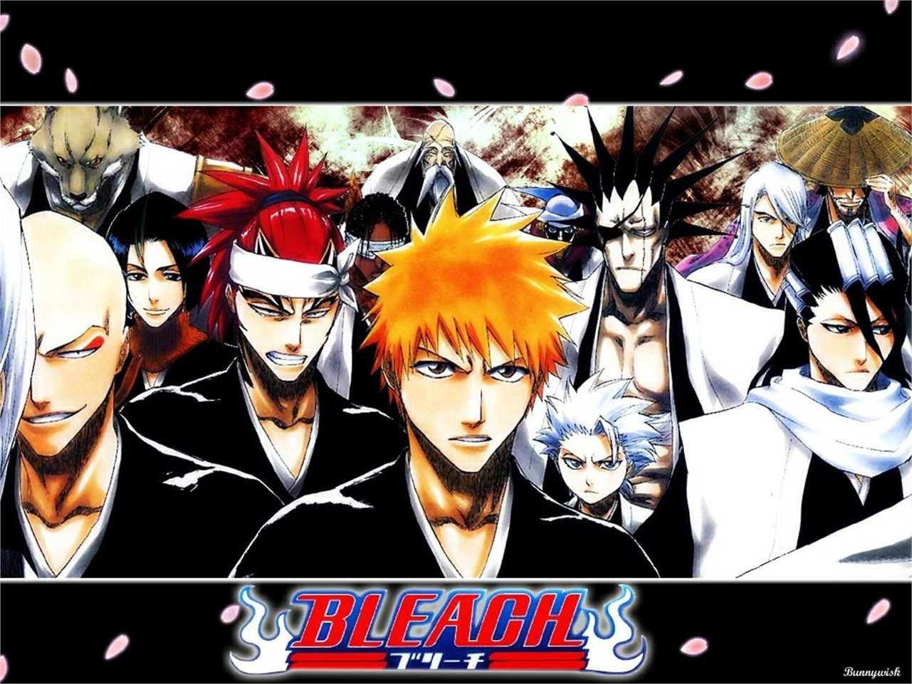Kaname Tosen Yumichika Ayasegawa Sajin Komamura Mayuri Kurotsuchi Genryūsai Shigekuni Yamamoto Ikkaku Madarame Jūshirō Ukitake Shunsui Kyōraku Kenpachi Zaraki Byakuya Kuchiki Renji Abarai Tōshirō Hitsugaya Ichigo Kurosaki Anime Bleach Image