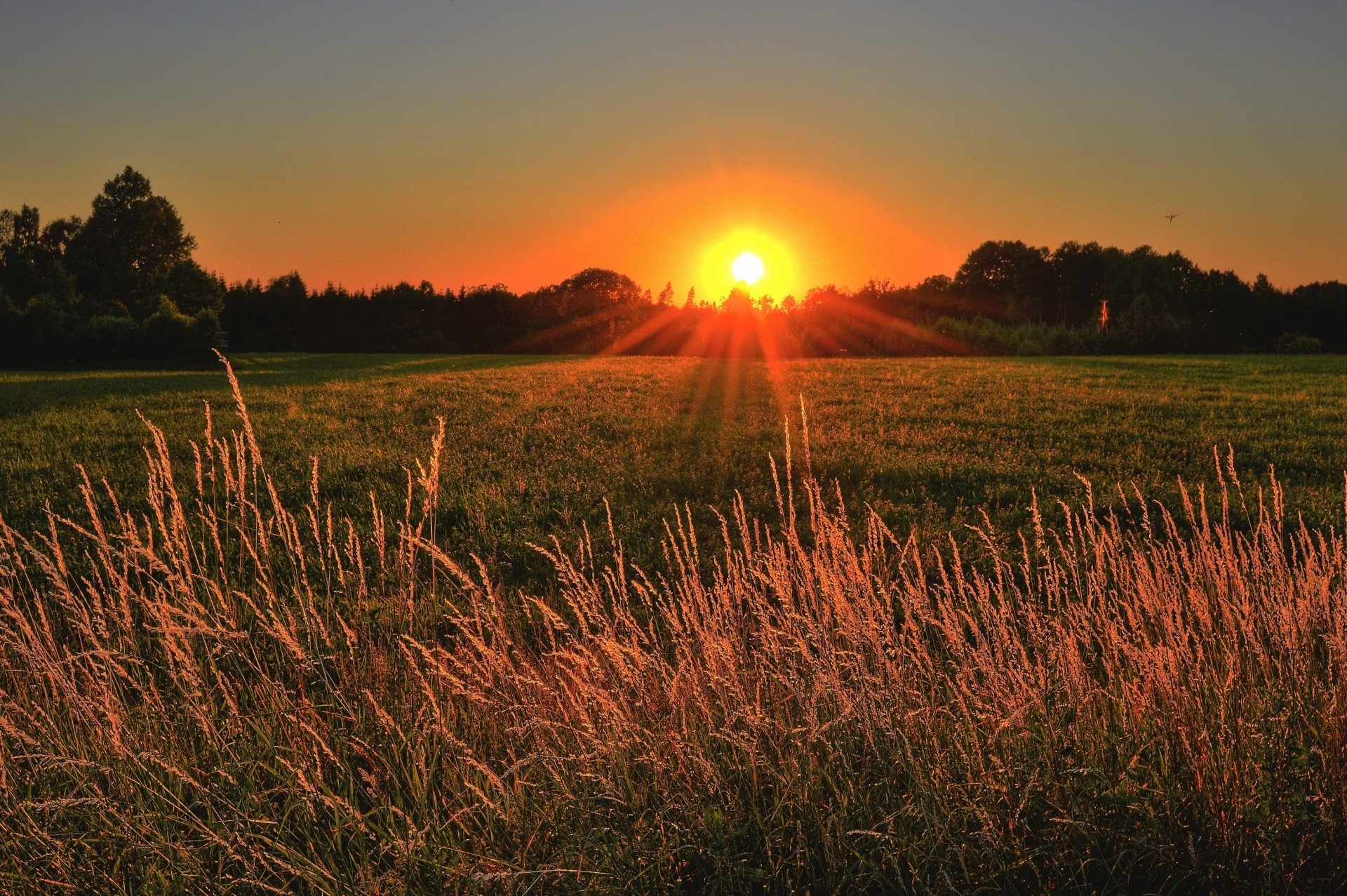 nature evening Golden Hour sunset Image