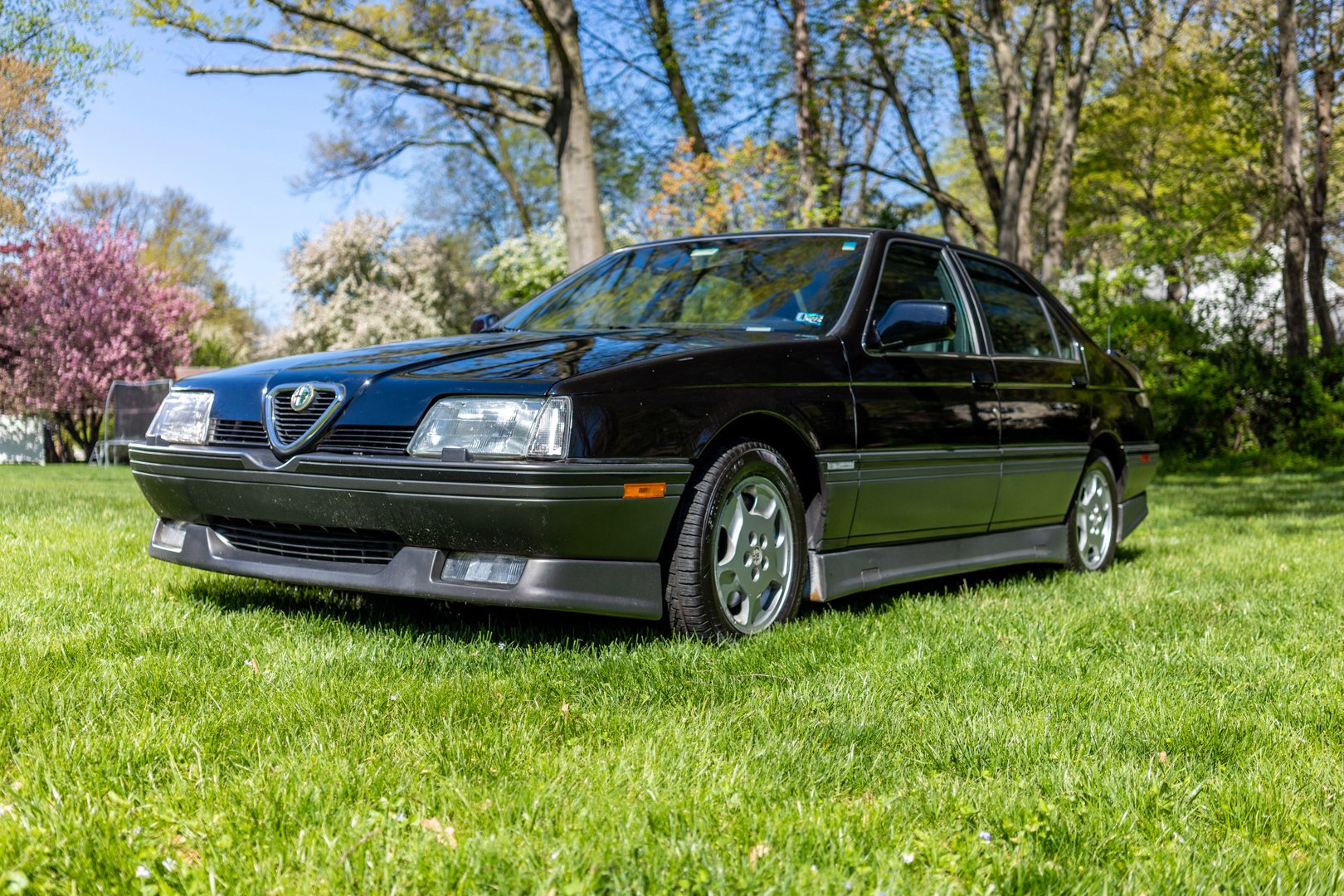 Alfa Romeo 164S - Desktop Wallpapers, Phone Wallpaper, PFP, Gifs, and More!