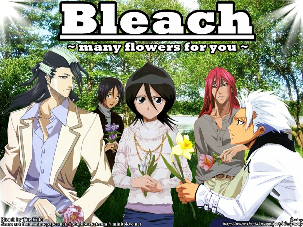Tōshirō Hitsugaya Byakuya Kuchiki Renji Abarai Hanataro Yamada Rukia Kuchiki Anime Bleach Image