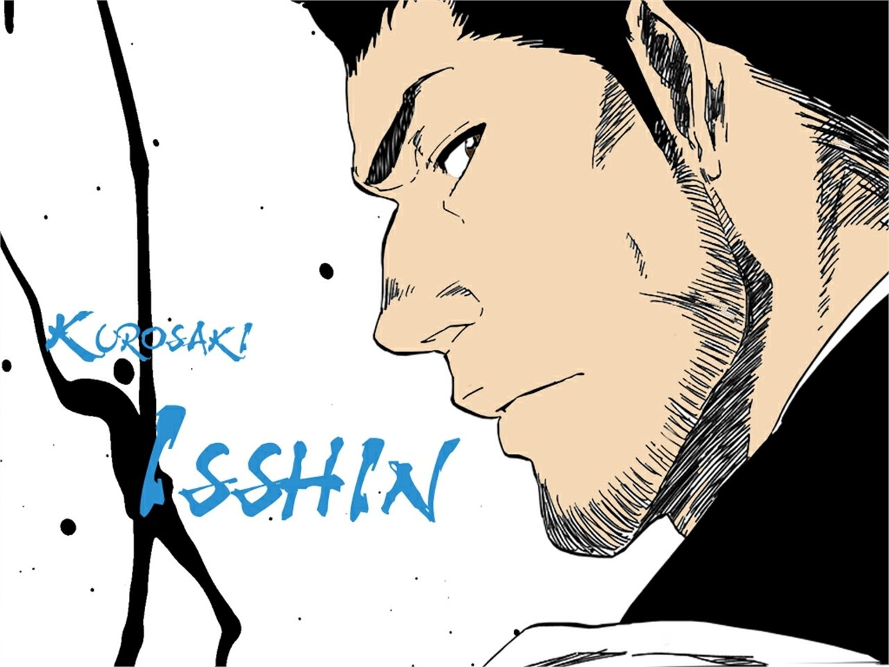 Isshin Kurosaki Anime Bleach Image