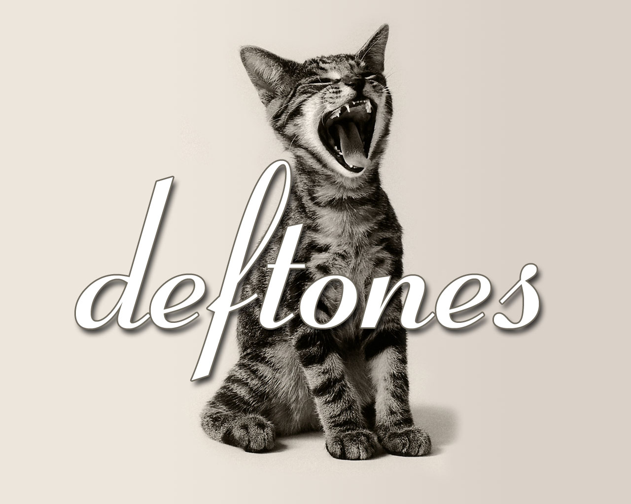 Melodic Moments with Deftones and Feline Vibes