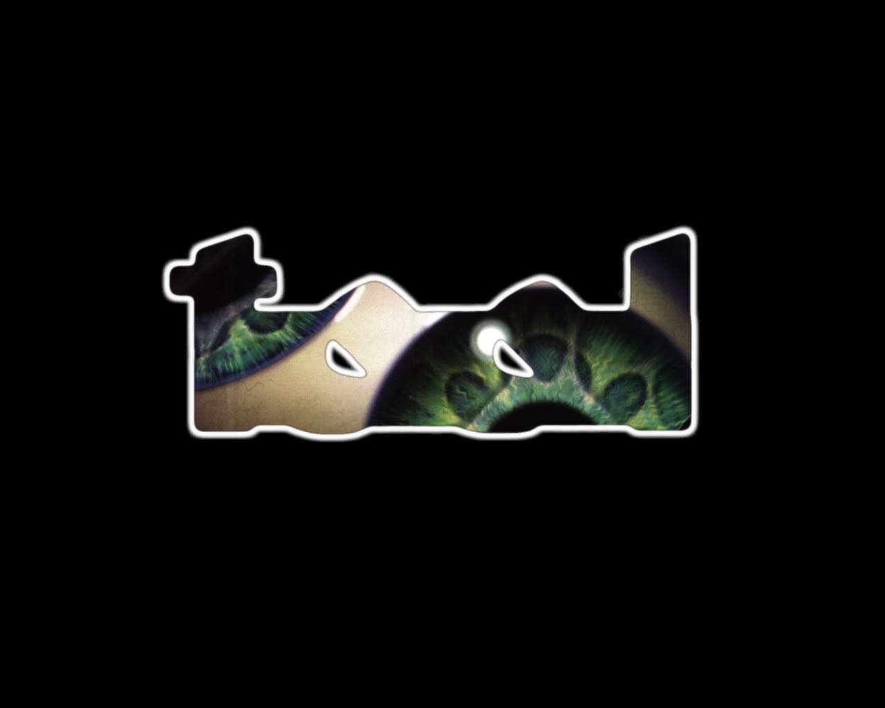 A stylized logo of the band Tool, featuring bold typography and intricate designs, set against a black background, representing their unique musical identity.