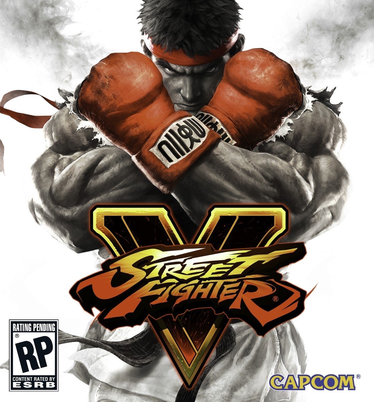 video game Street Fighter V Image