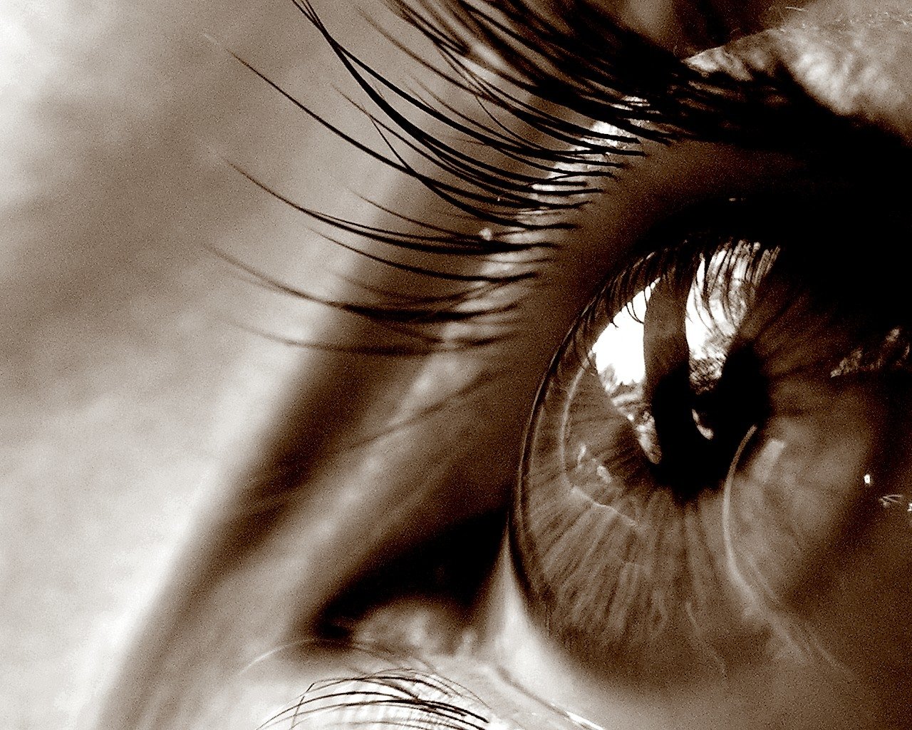 A close-up of an eye, showcasing detailed eyelashes and reflections in the iris, captured in an artistic, monochromatic style.